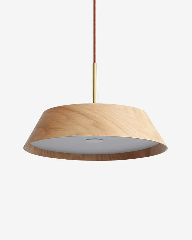 Pendant Light in Brass and Wood | Zura