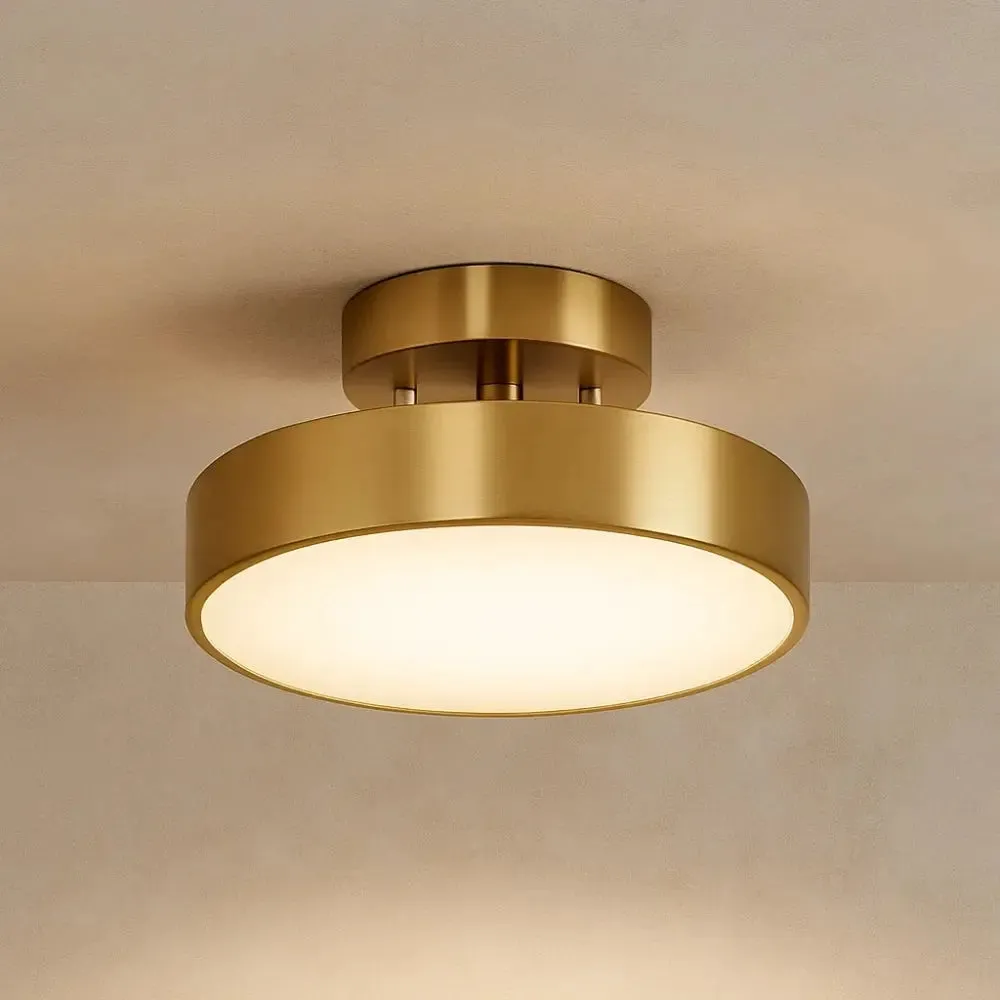 Ceiling Light Brass Directional Disk | Luminex